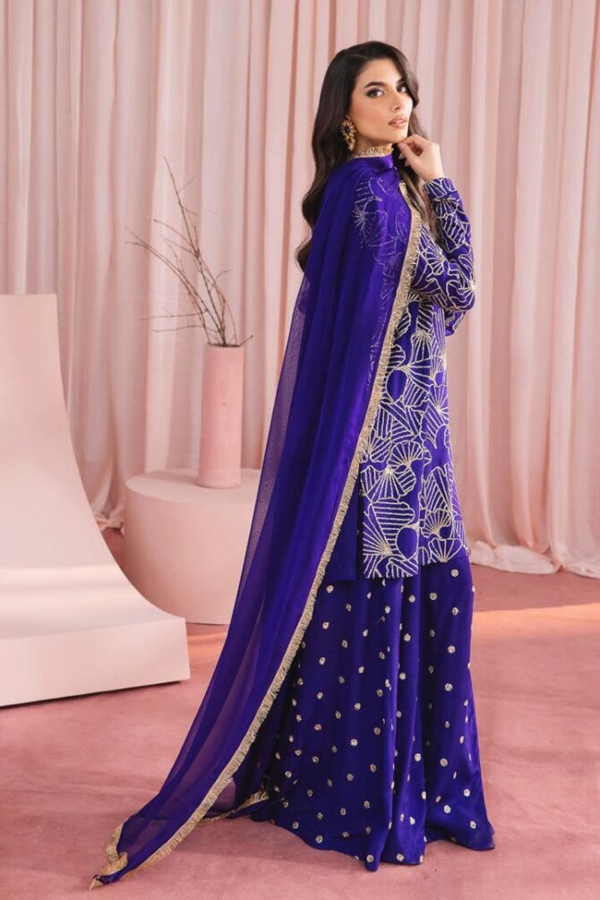 Vanya 3 Piece Raw Silk Chiffon Suit (DL-14)