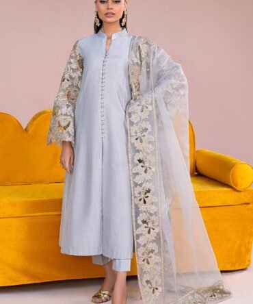 Vanya 3 Piece Raw Silk Organza Suit (FR-01)